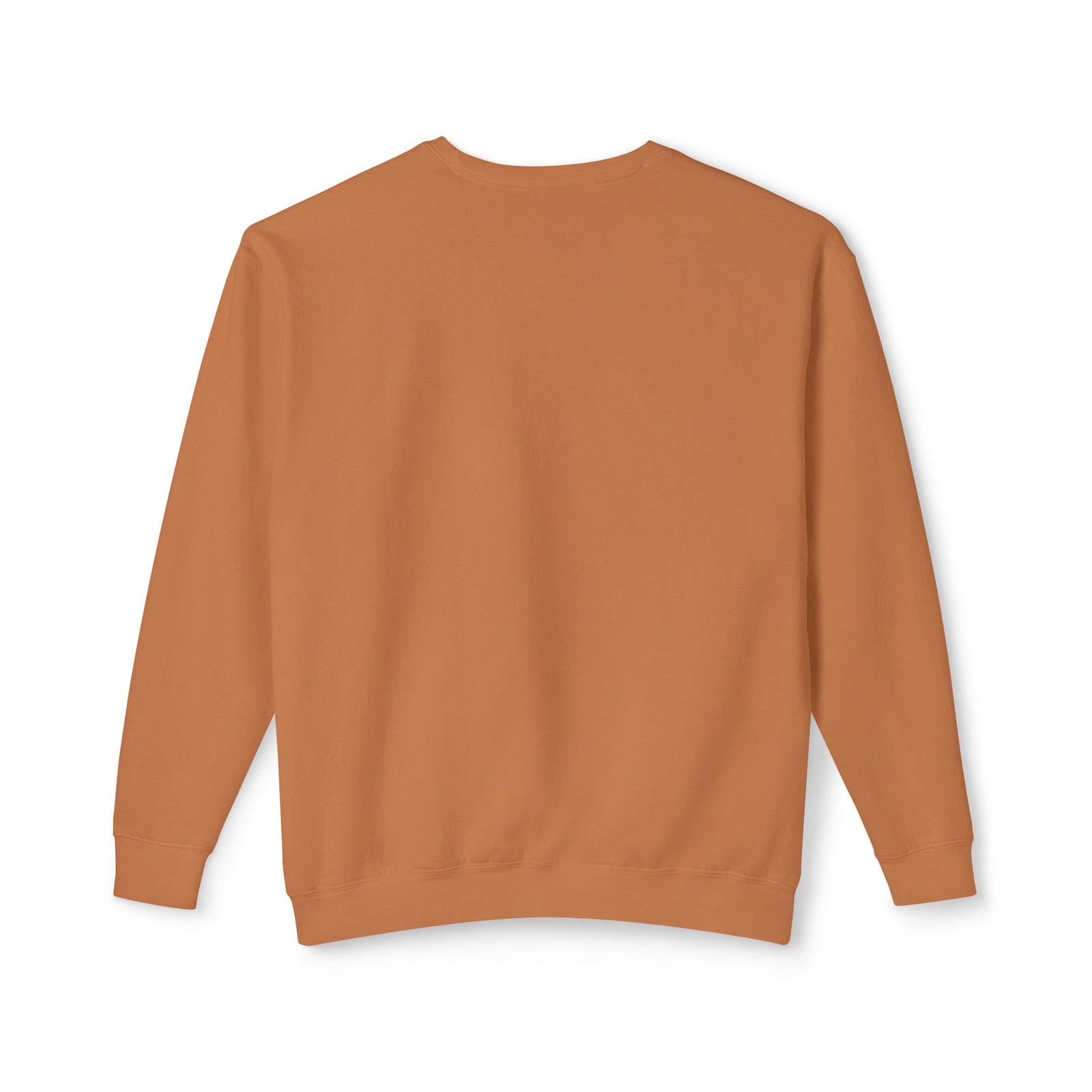 Knowledge Is Power Unisex Lightweight Crewneck Sweatshirt, Casual Wear, Gift for Students, Motivational Apparel, Educational Fashion