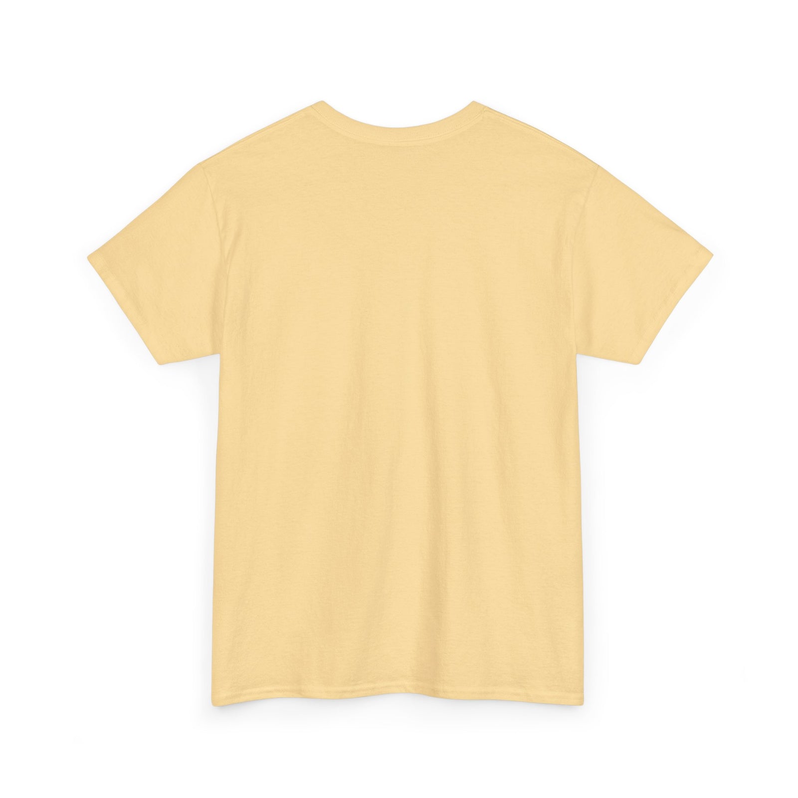 T-Shirt: Unisex Heavy Cotton Tee