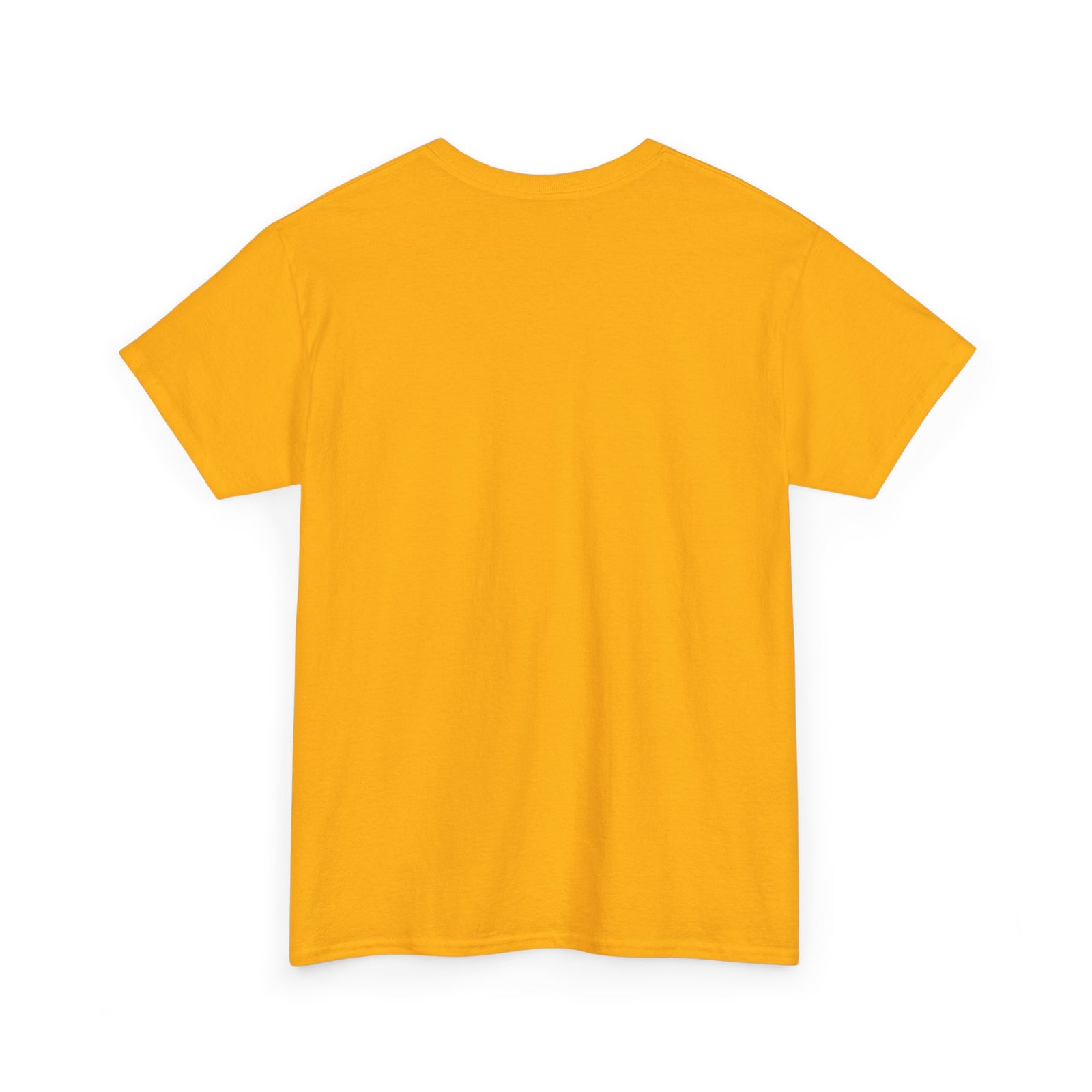 T-Shirt: Unisex Heavy Cotton Tee