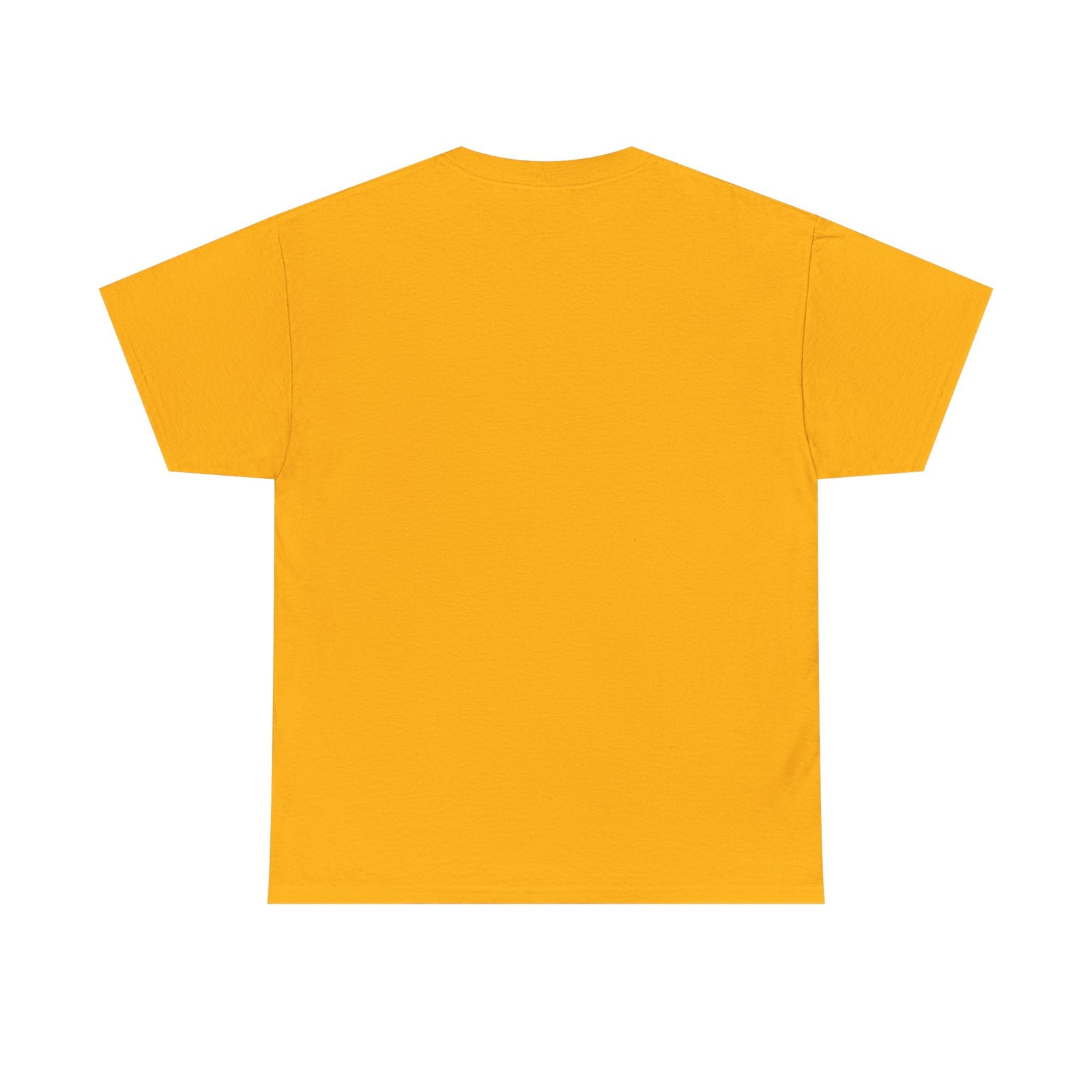 T-Shirt: Unisex Heavy Cotton Tee