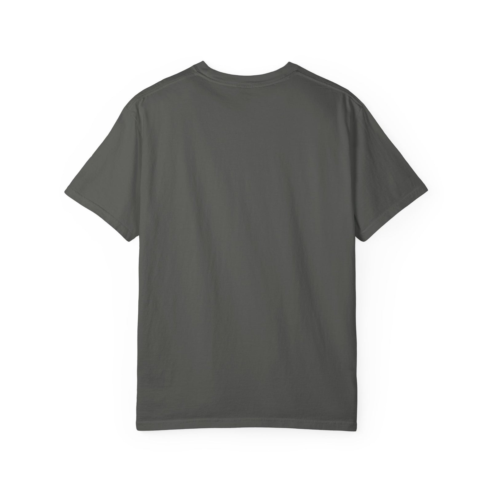 Highway of Knowledge Unisex Garment-Dyed T-shirt, Casual Tee, Gift for Readers, Book Lovers T-shirt, Unique Graphic Tee, Educational Apparel